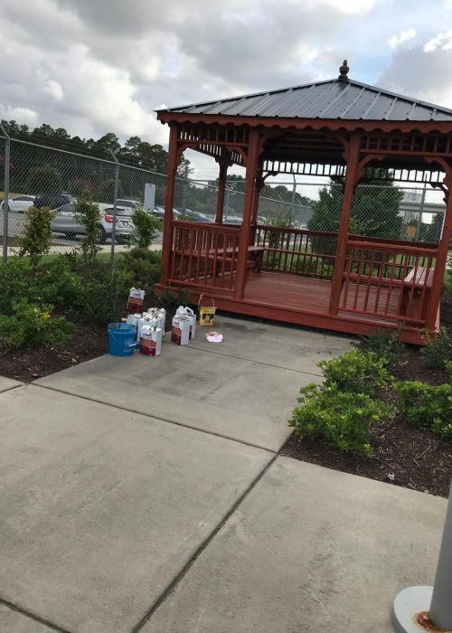 WhatsApp Image 2024-07-15 at 9.10.28 PM (1)