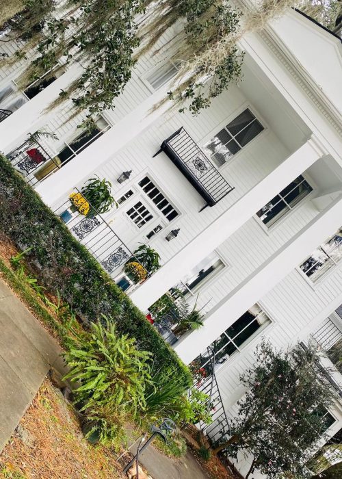 WhatsApp Image 2024-07-15 at 9.22.02 PM